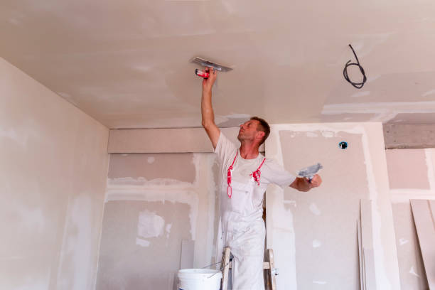 Best Residential Painting  in Delta, UT